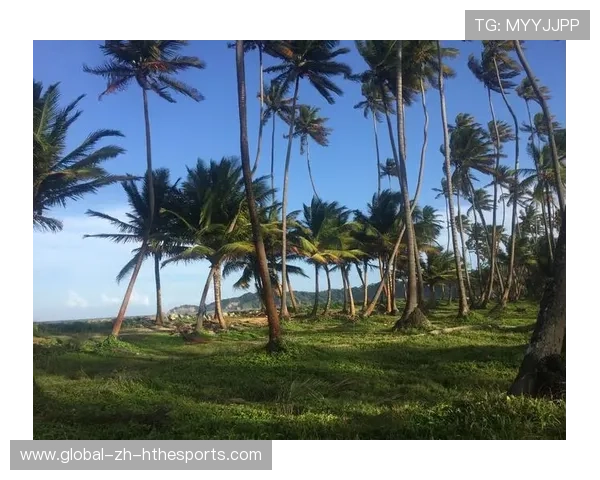 多巴哥本地体育产业逐步壮大，多巴哥共和国